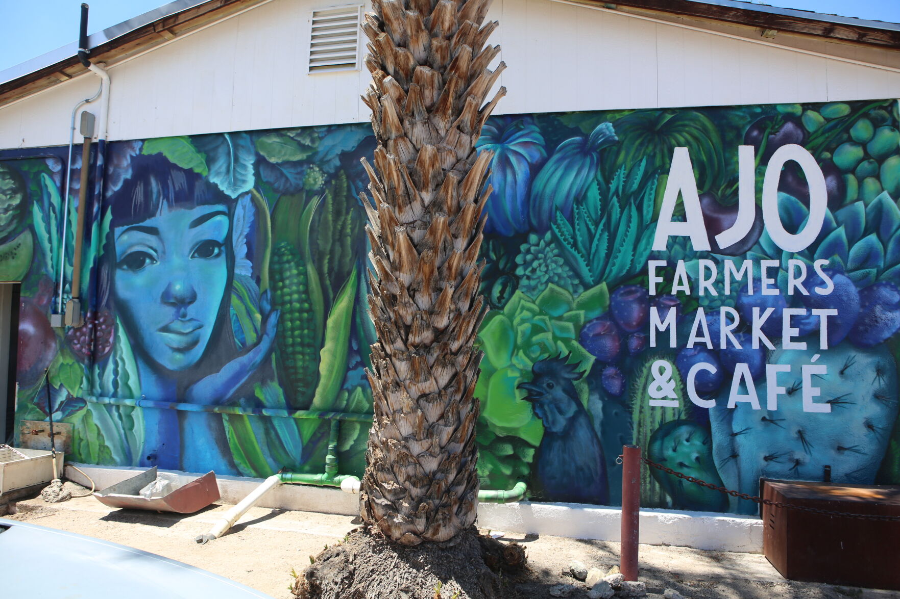 Mural at Ajo Cafe deceived by Sterling Johnson
